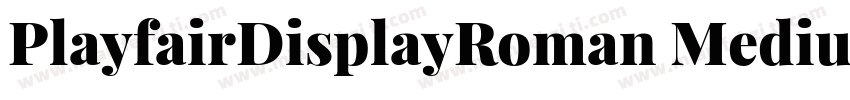 PlayfairDisplayRoman Medium字体转换